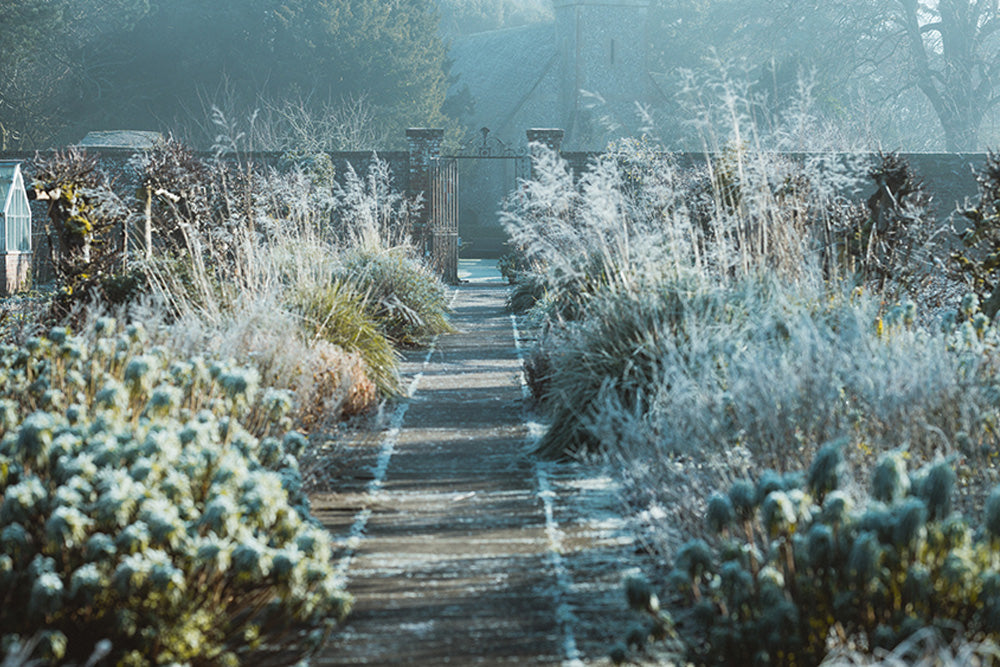 December Gardening Jobs