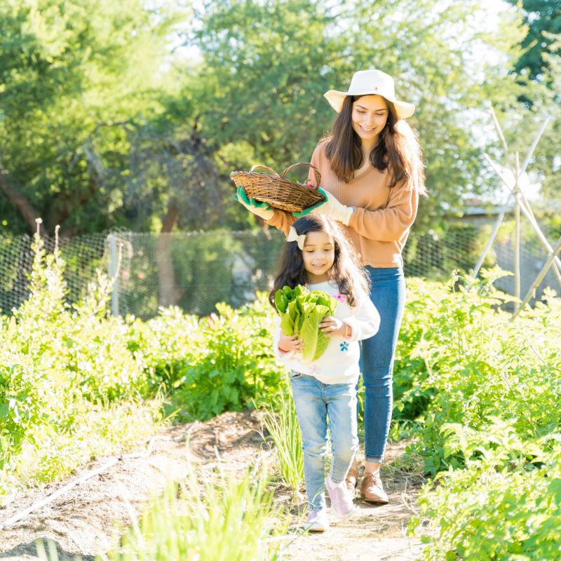 Activities for Budding Young Gardeners