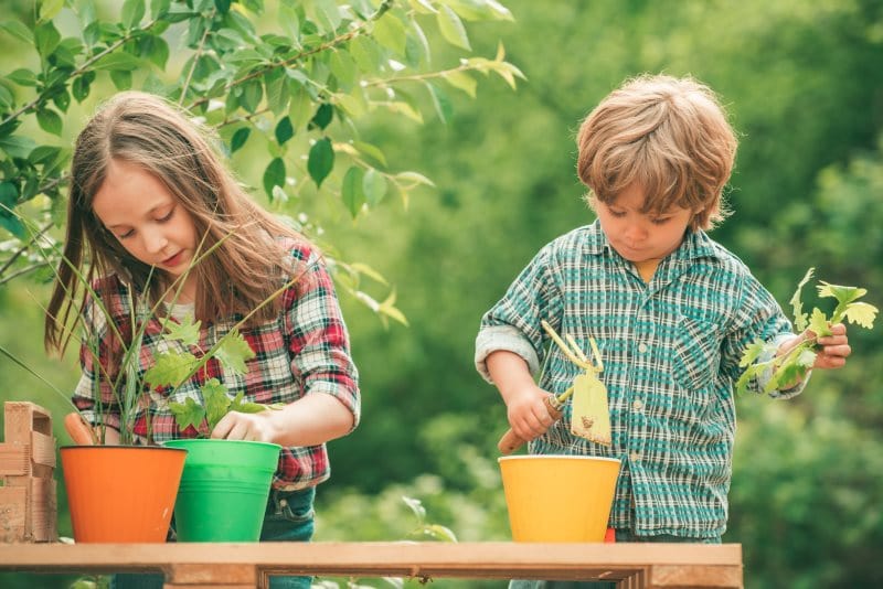 How to Do a Minibeast Hunt