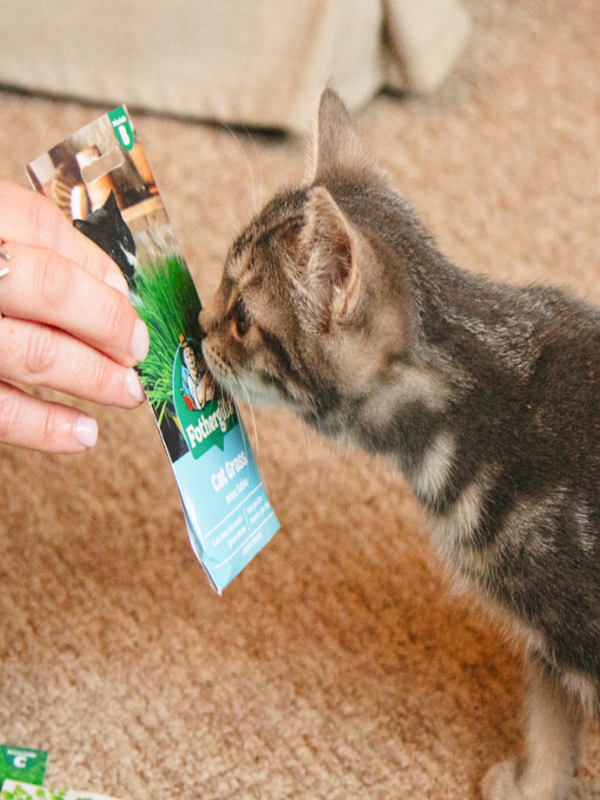 The Cats Protection Partnership