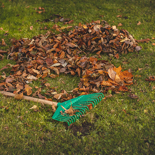 A rake lies next to a pile of fallen leaves in a garden.