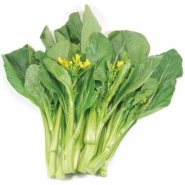 Oriental Vegetable Seeds