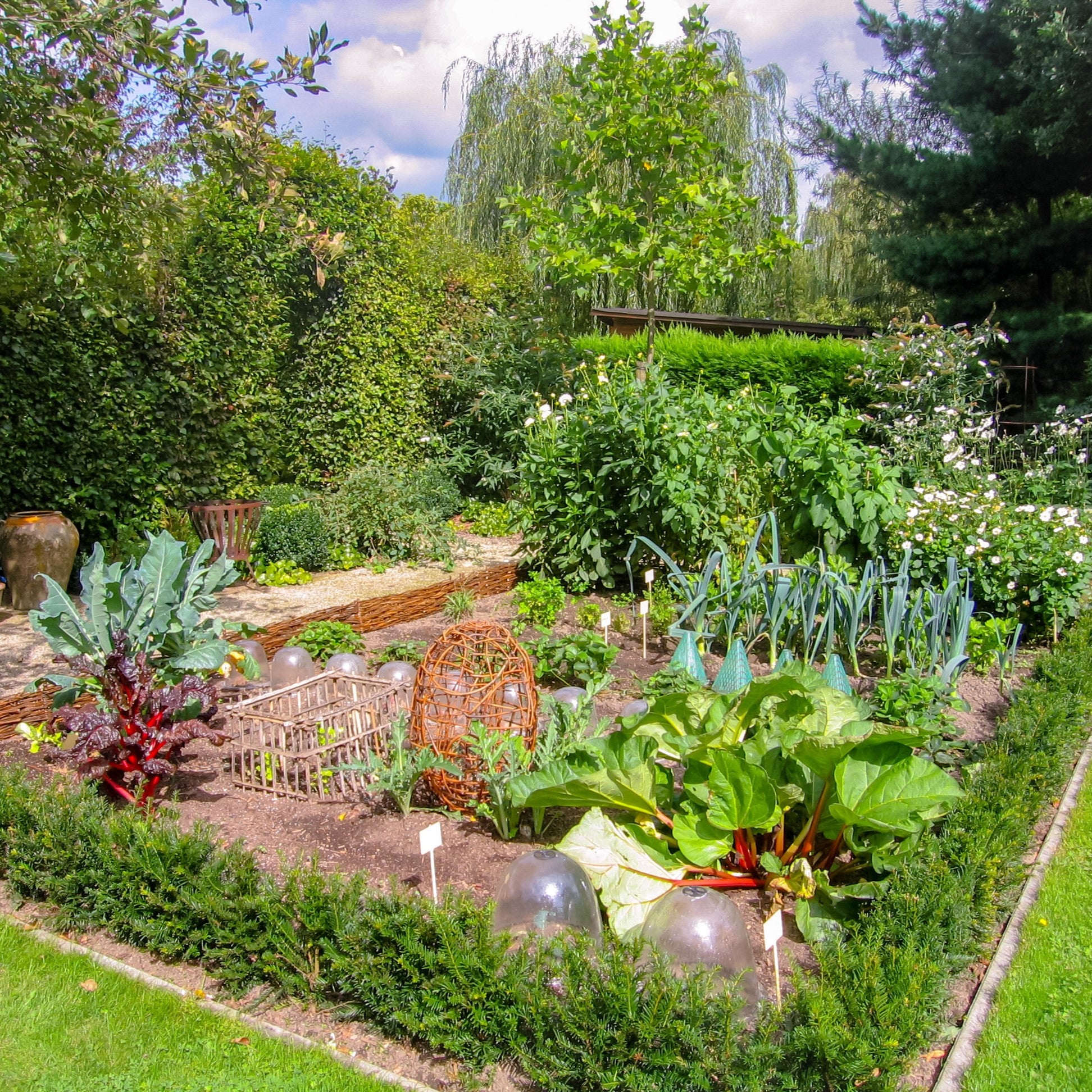 Veg Bed and Allotment Garden