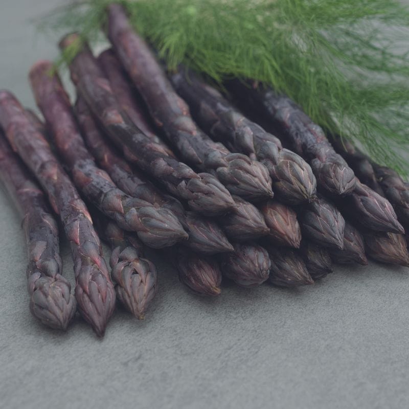 Asparagus Seeds