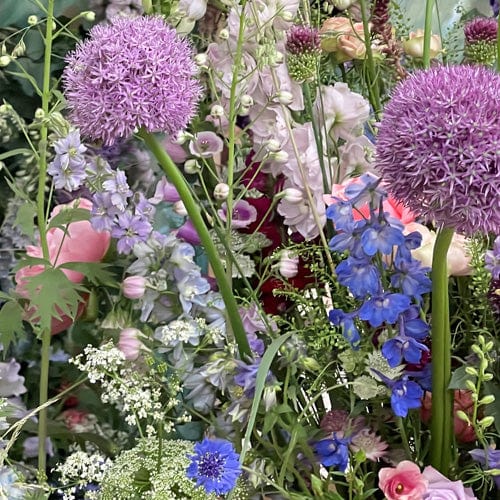 Flowers to Plant in September