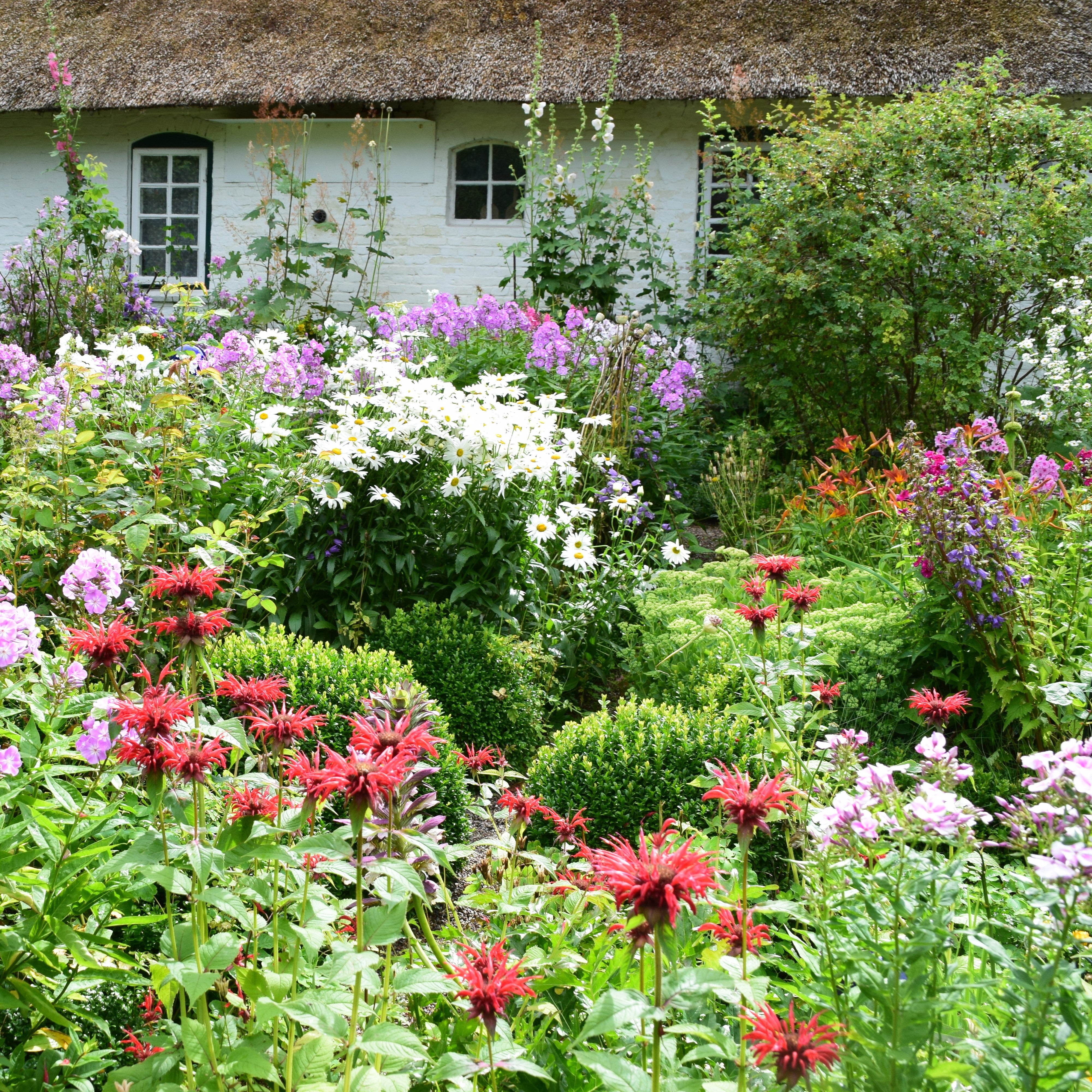 Cottage Garden