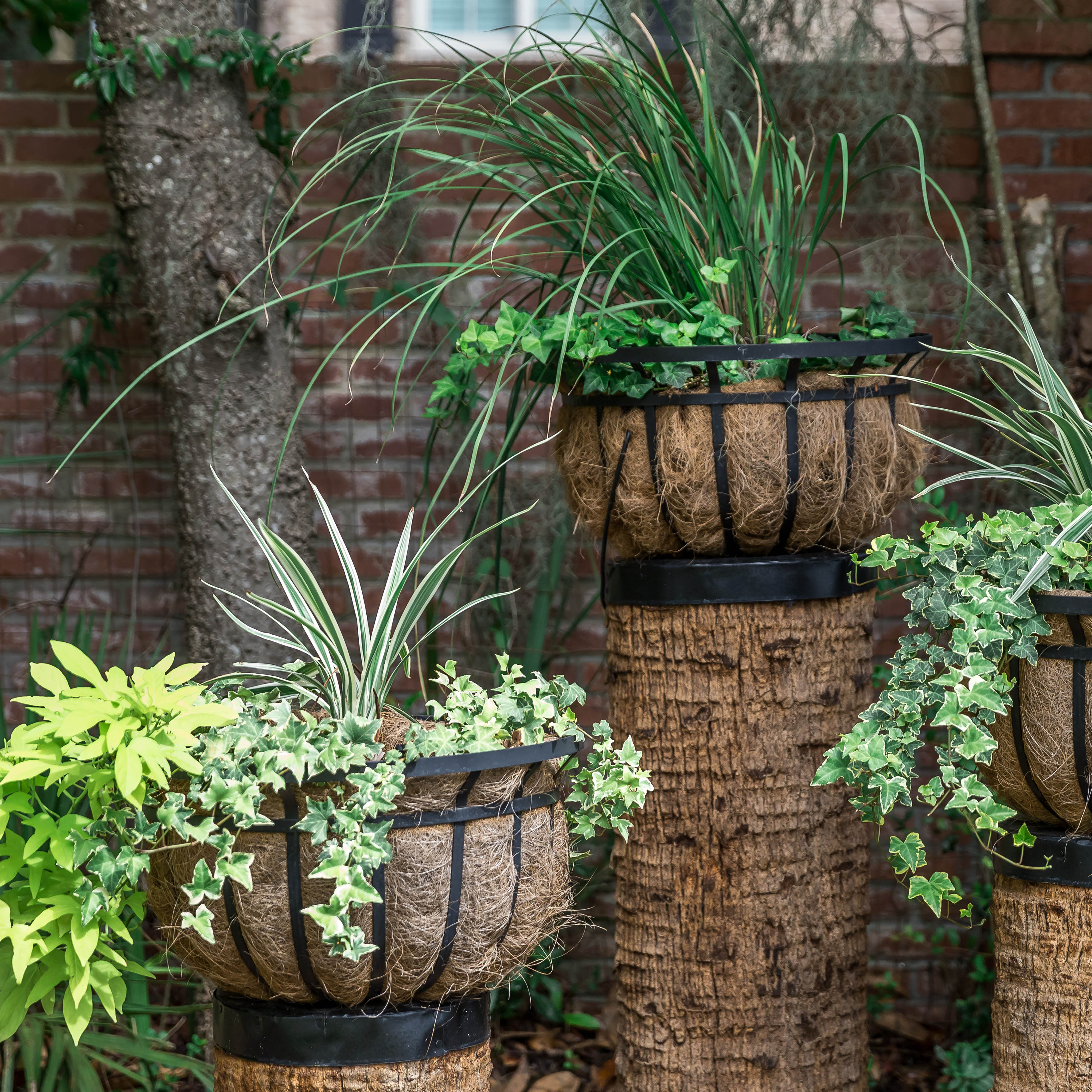 Planters & Baskets