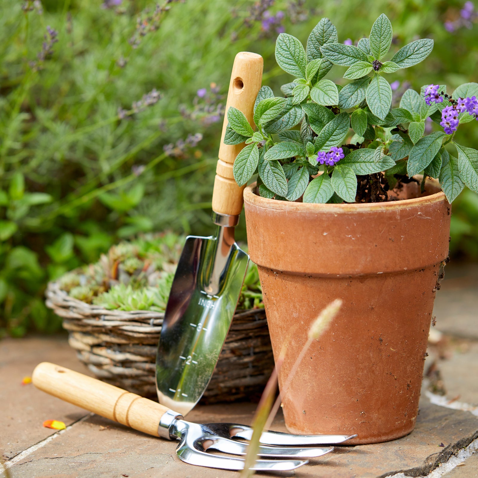 Garden Accessories