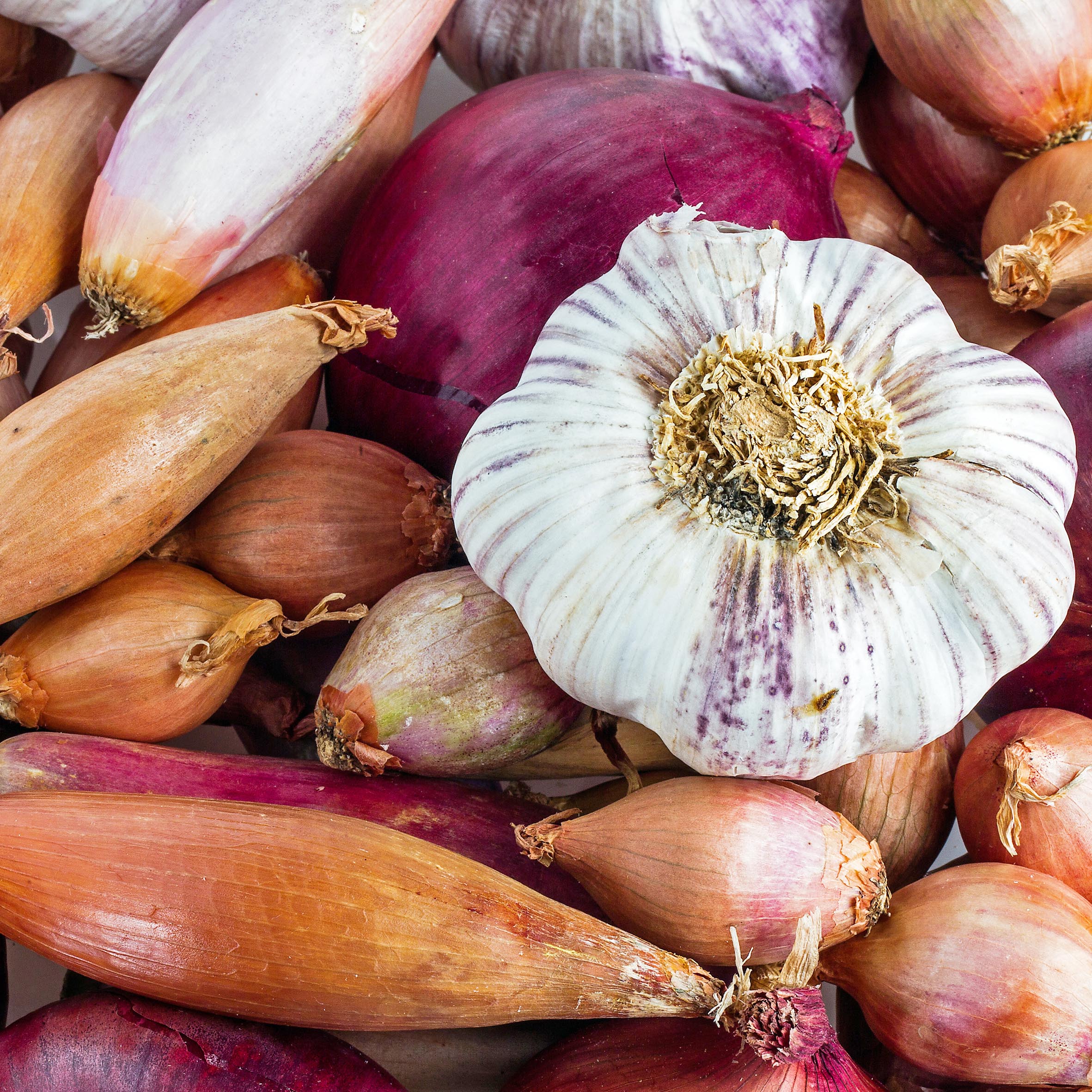 Onion, Shallots & Garlic bulbs