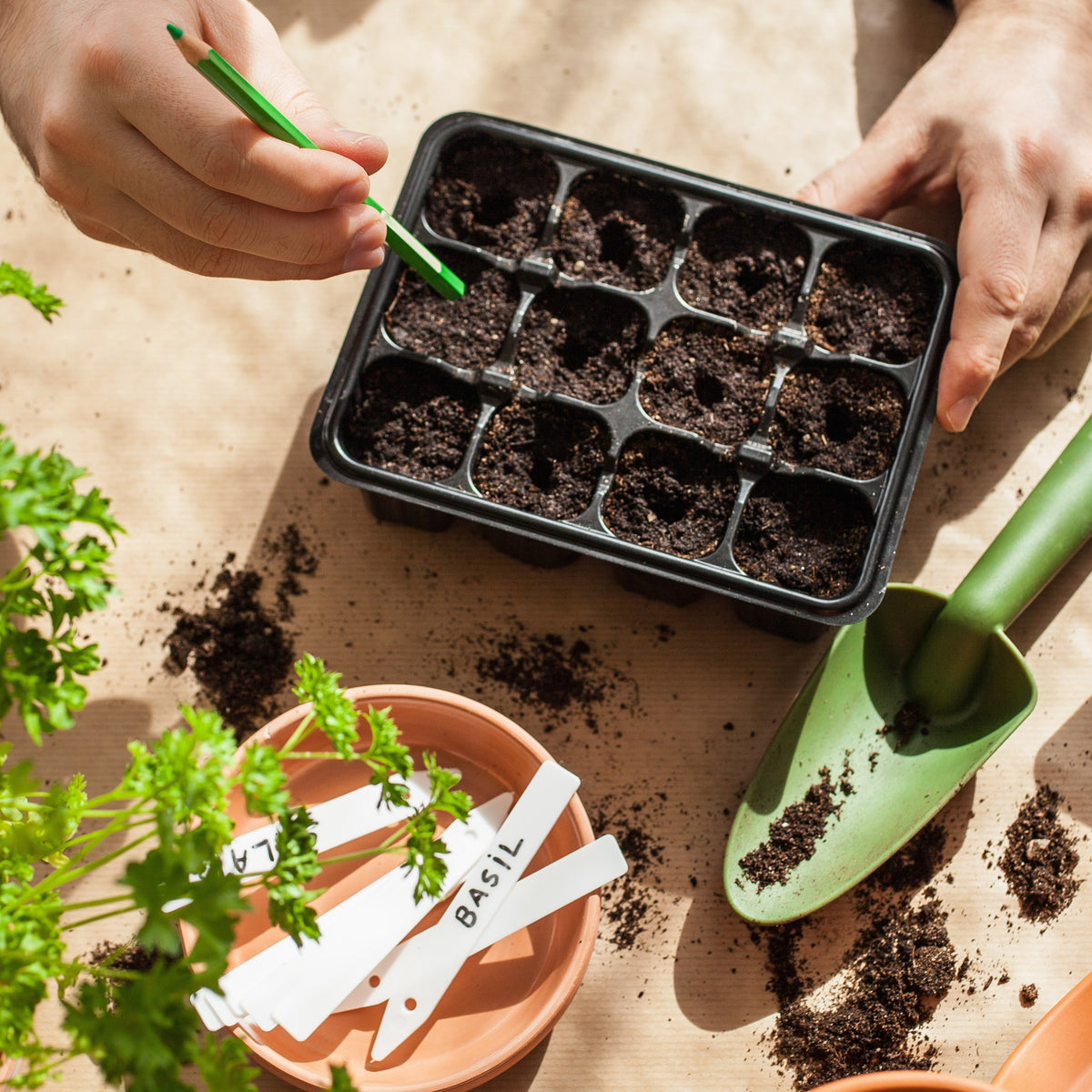 Sowing & Growing