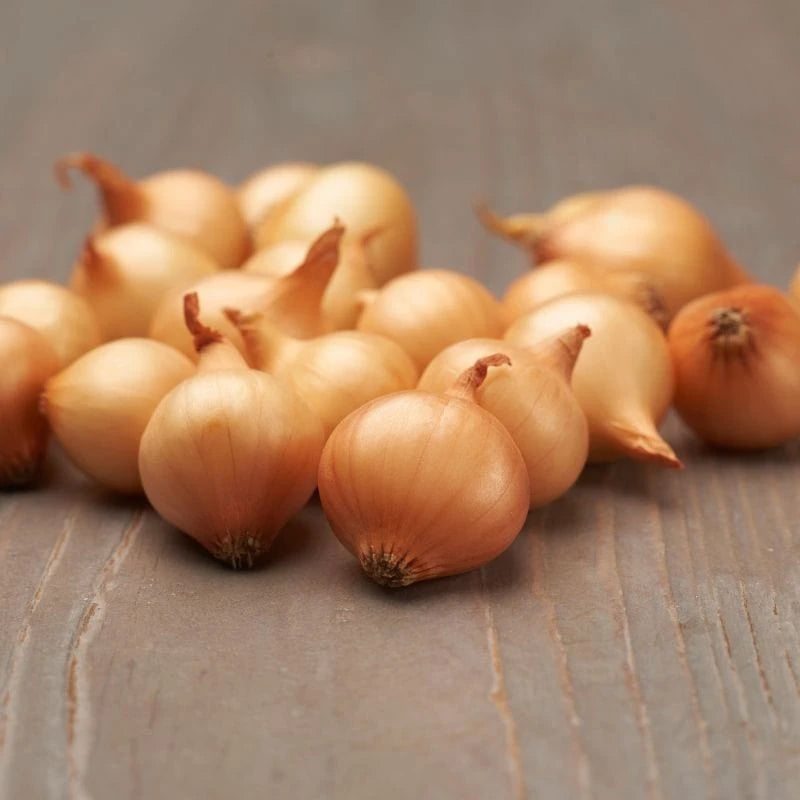 Autumn Planting Onions, Shallots & Garlic