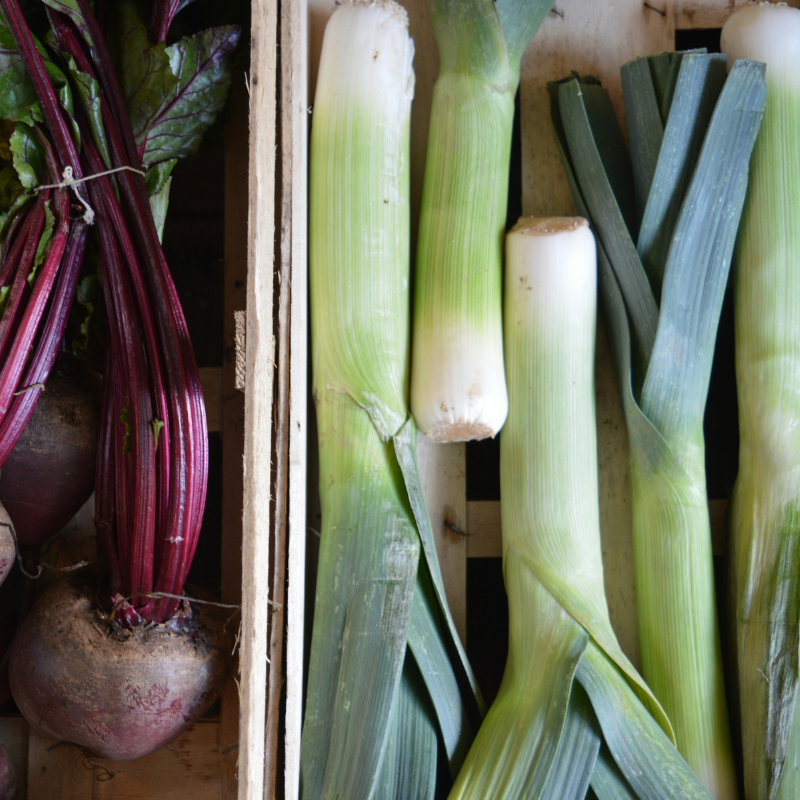 Vegetable Seeds To Sow In March