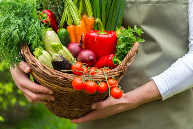 Container Vegetable Plants