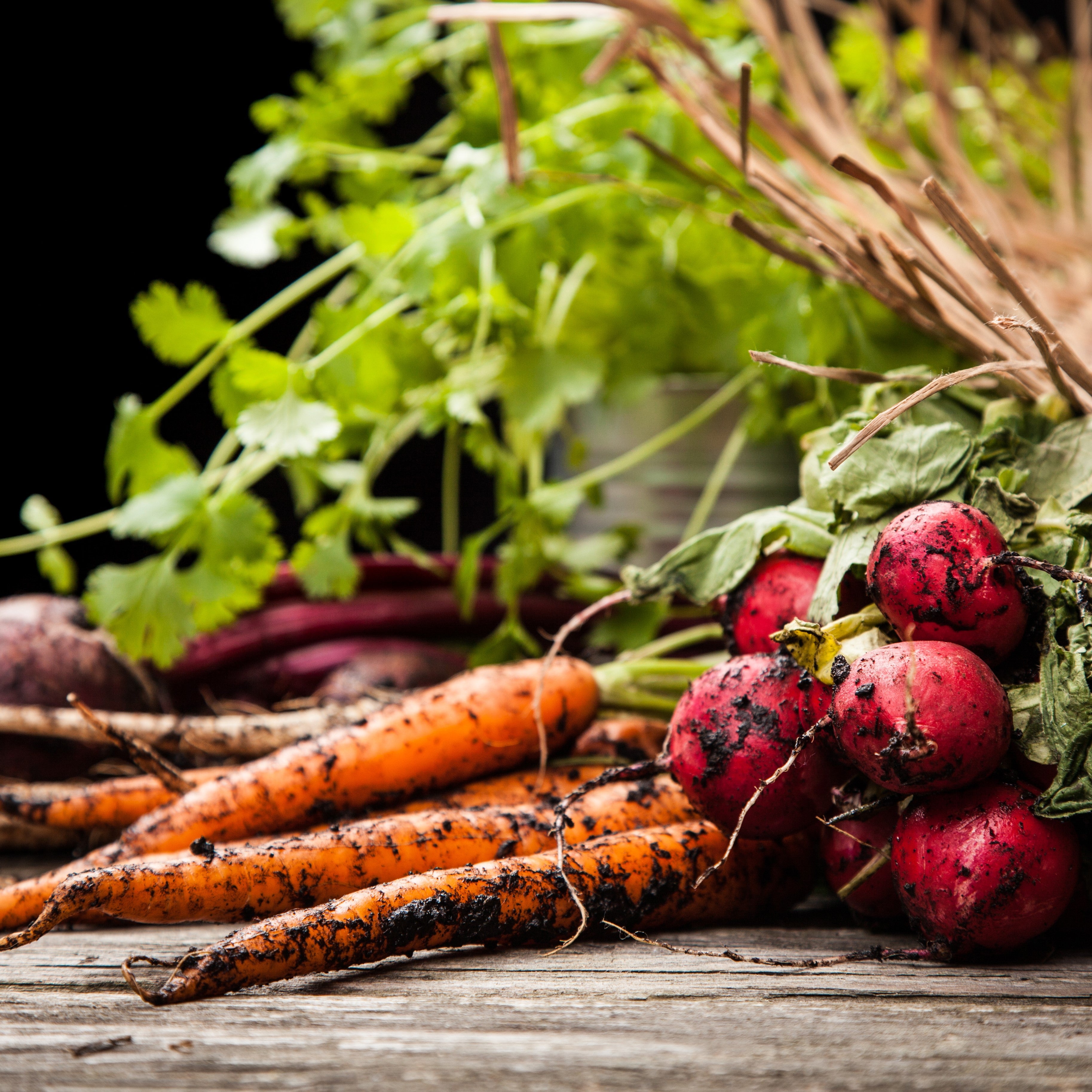 Ready to Sow or Plant Now Vegetables