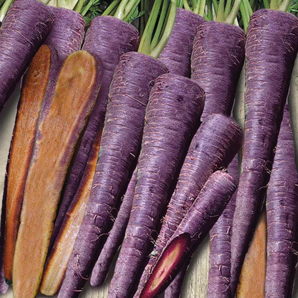 Carrot Purple Haze F1 Seeds