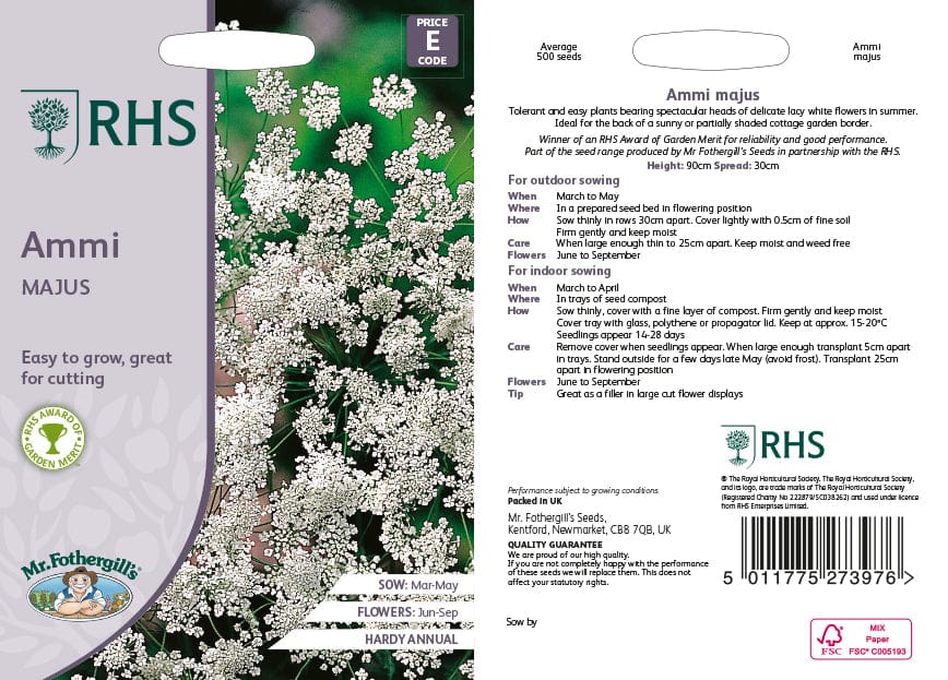 RHS Ammi majus