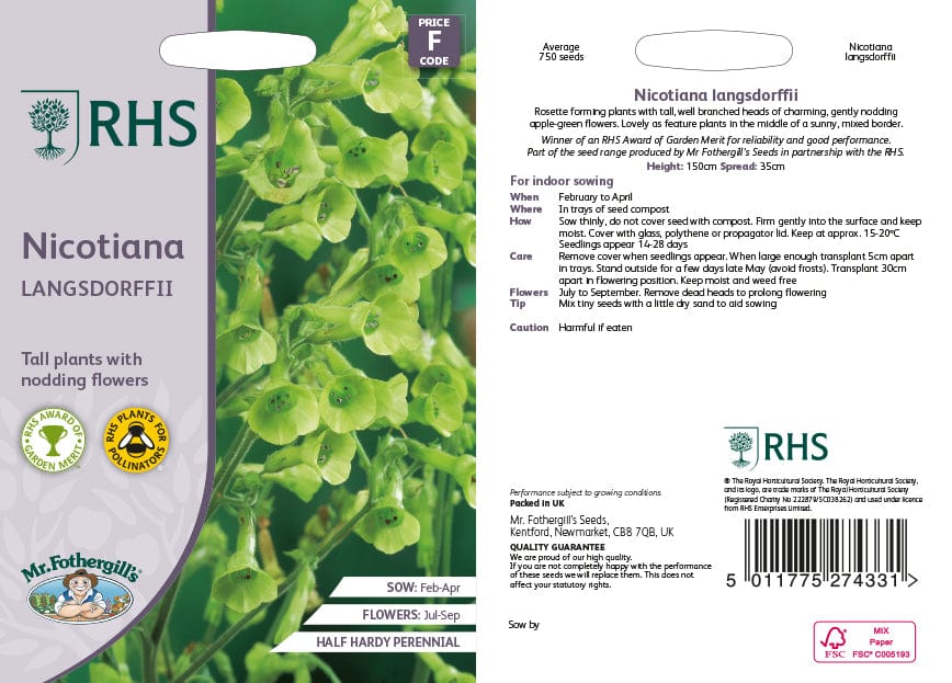 RHS Nicotiana langsdorffii Seeds