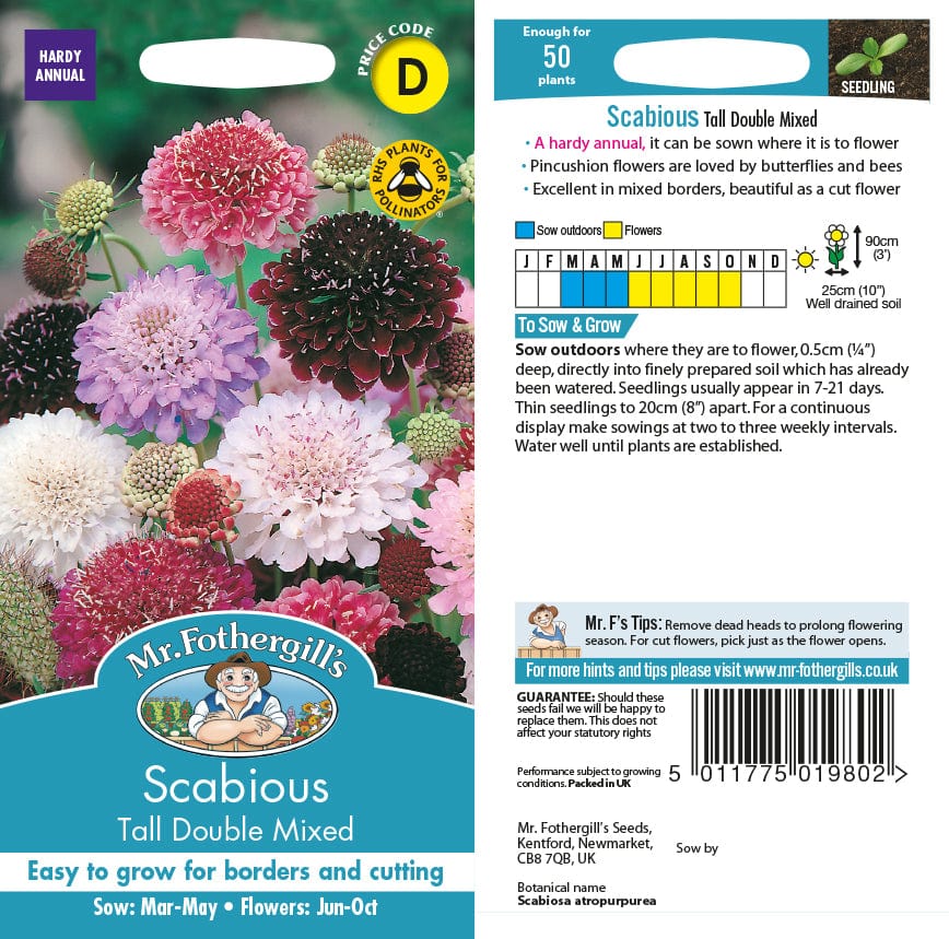 Scabious Tall Double Mixed Seeds
