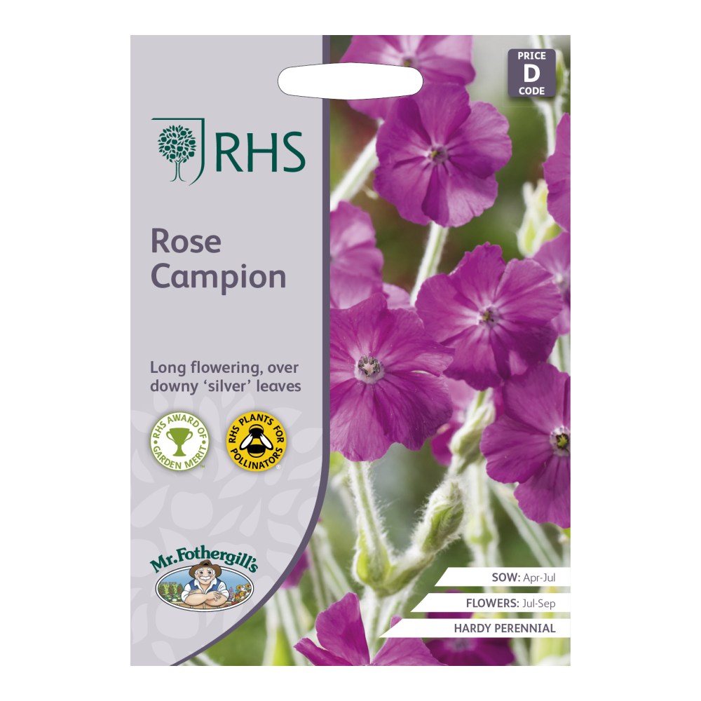 RHS Rose Campion Seeds
