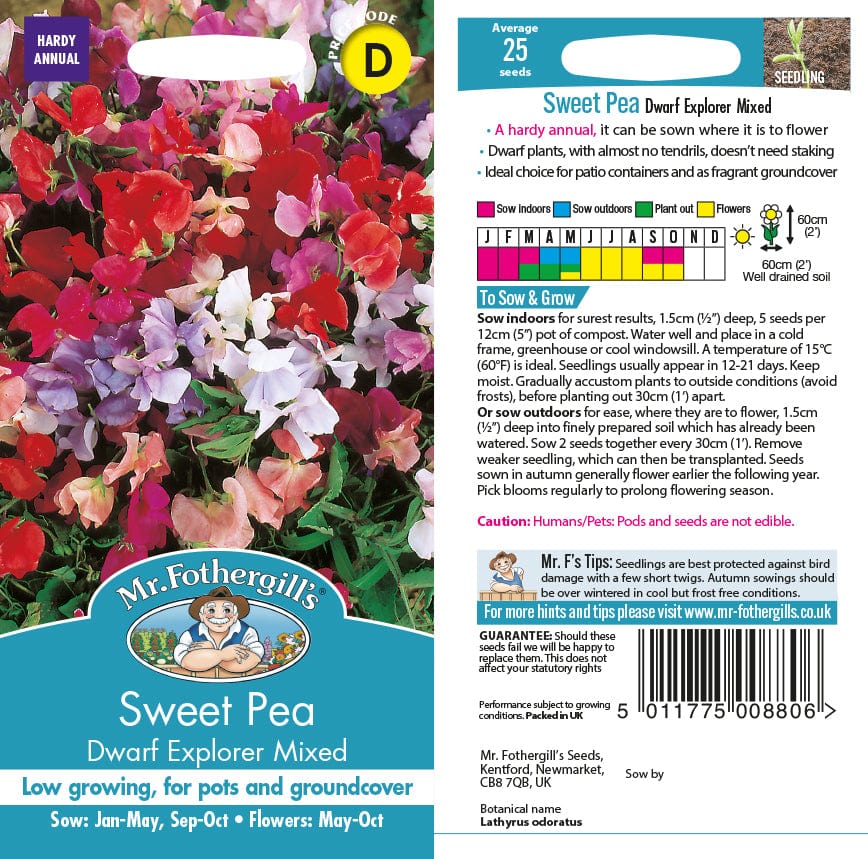 Sweet Pea Dwarf Explorer Mixed Seeds