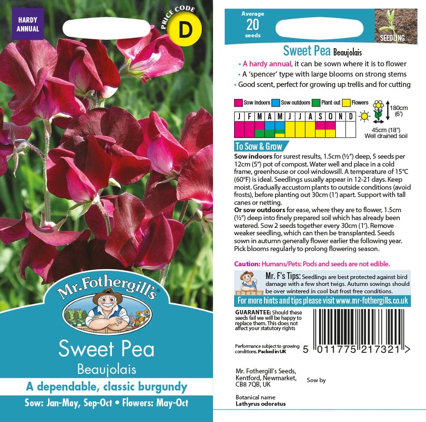Sweet Pea Beaujolais Seeds