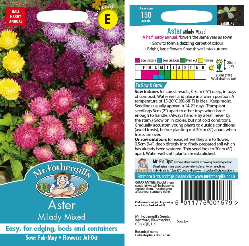Aster Milady Mixed