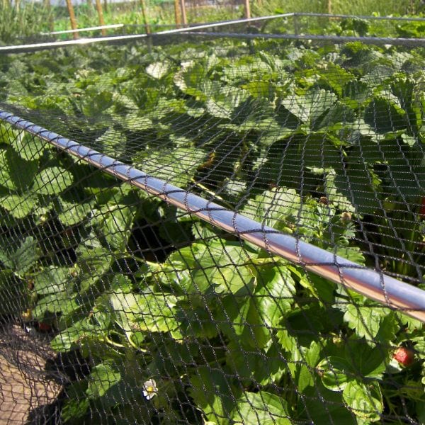 Bird Plant Protection Netting