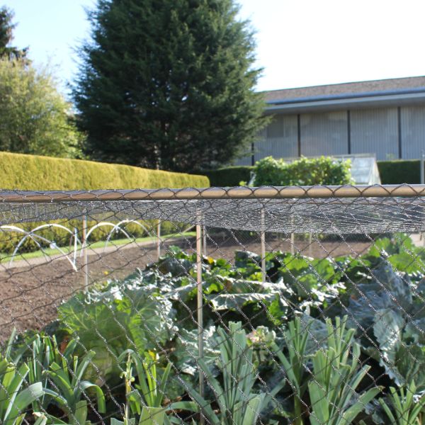 Bird Plant Protection Netting
