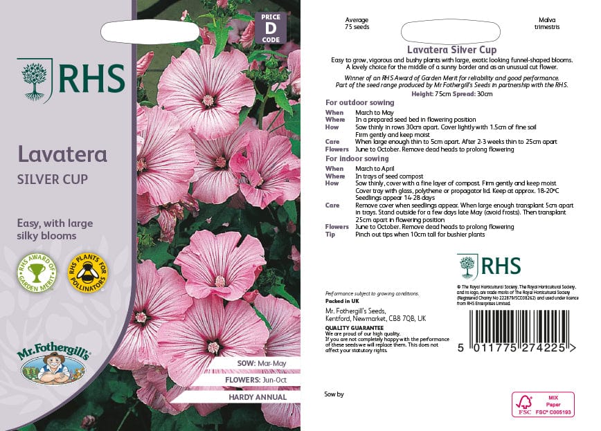 RHS Lavatera Silver Cup