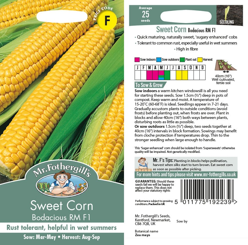 Sweet Corn Bodacious RM F1 Seeds