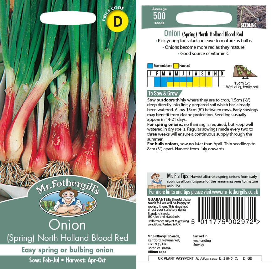 Onion (Spring) North Holland Blood Red Seeds