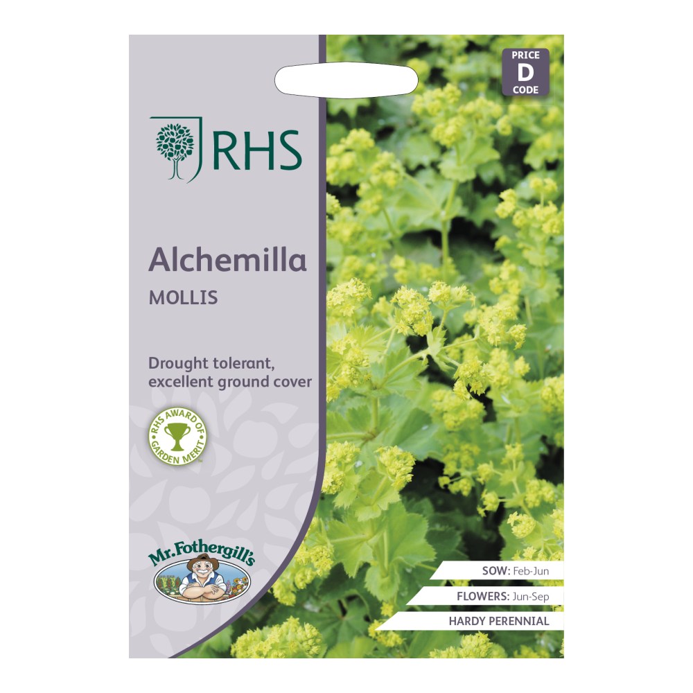RHS Alchemilla mollis Seeds