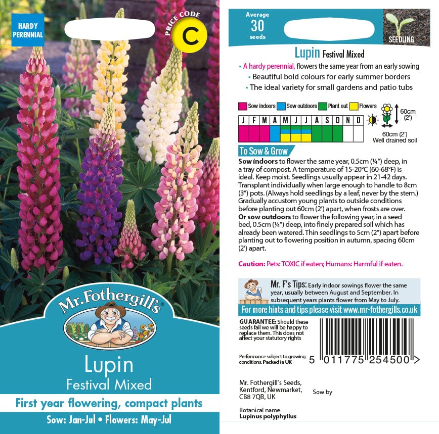 Lupin Festival Mixed Seeds
