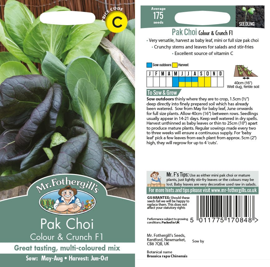 Pak Choi Colour & Crunch F1 Seeds
