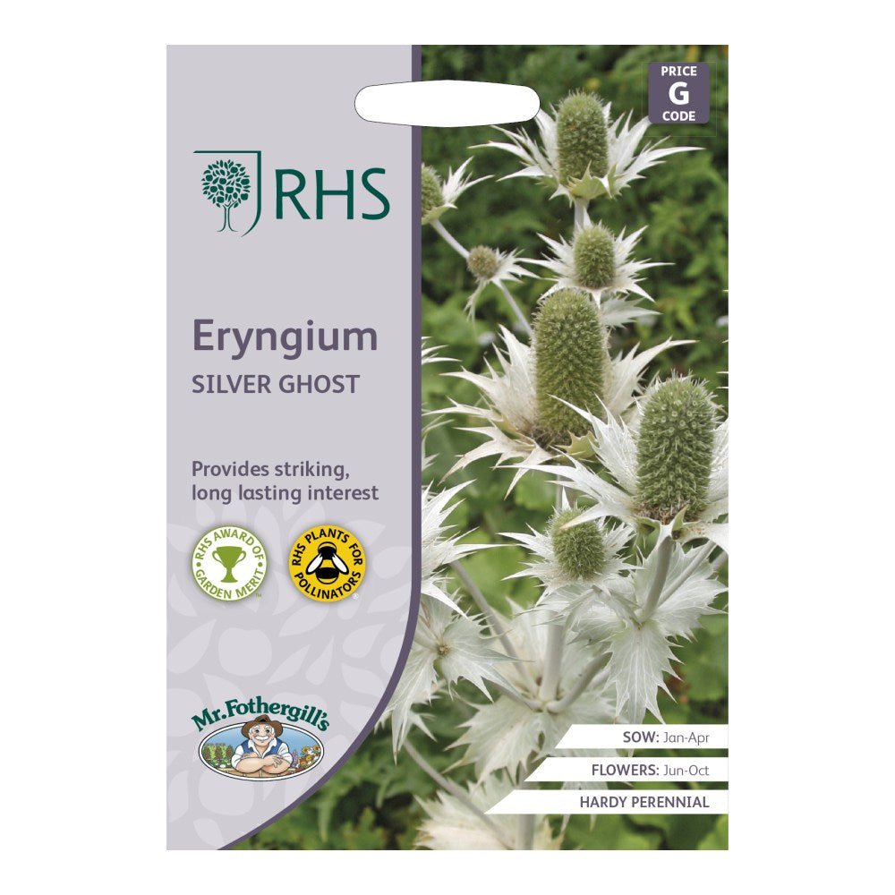 RHS Eryngium Silver Ghost Seeds