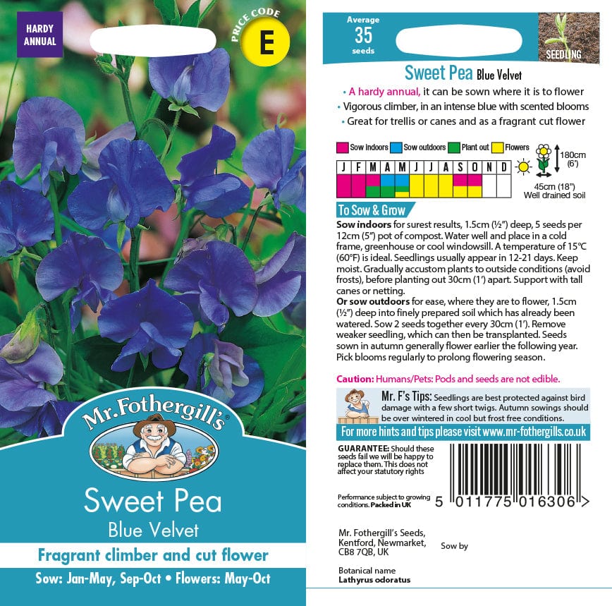 Sweet Pea Blue Velvet Seeds