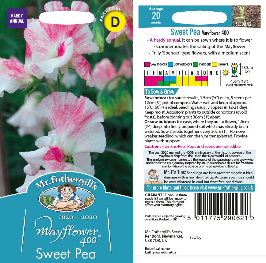 Sweet Pea Mayflower 400