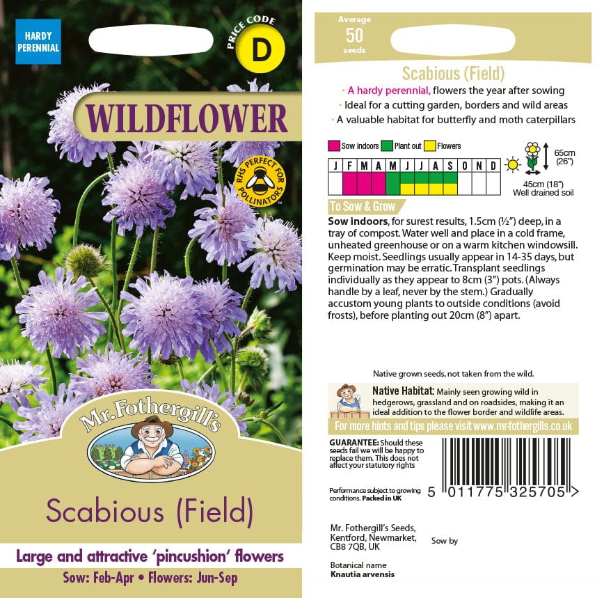 Field Scabious Seeds