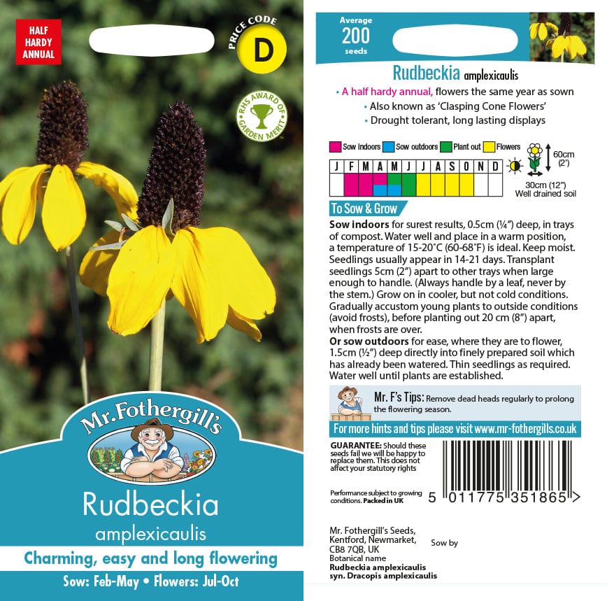 Rudbeckia amplexicaulis Flower Seeds