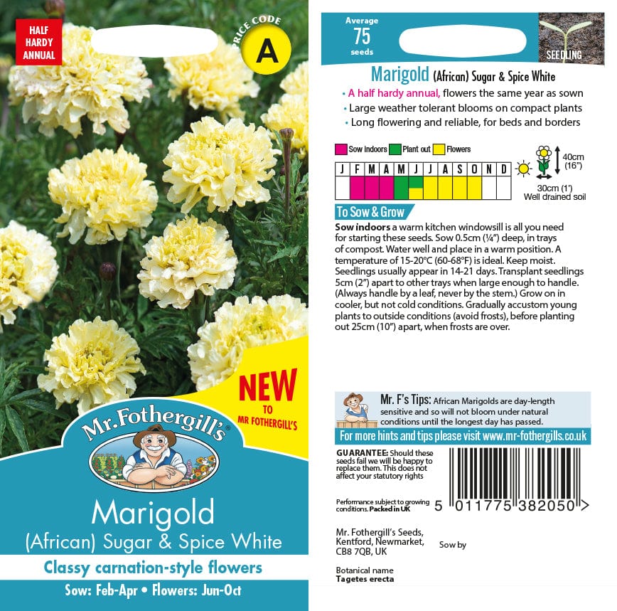 Marigold (African) Sugar & Spice White Flower Seeds