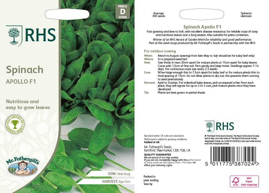 Spinach Apollo F1 Vegetable Seeds