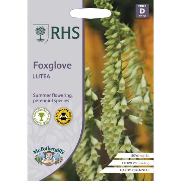 RHS Foxglove Lutea Seeds