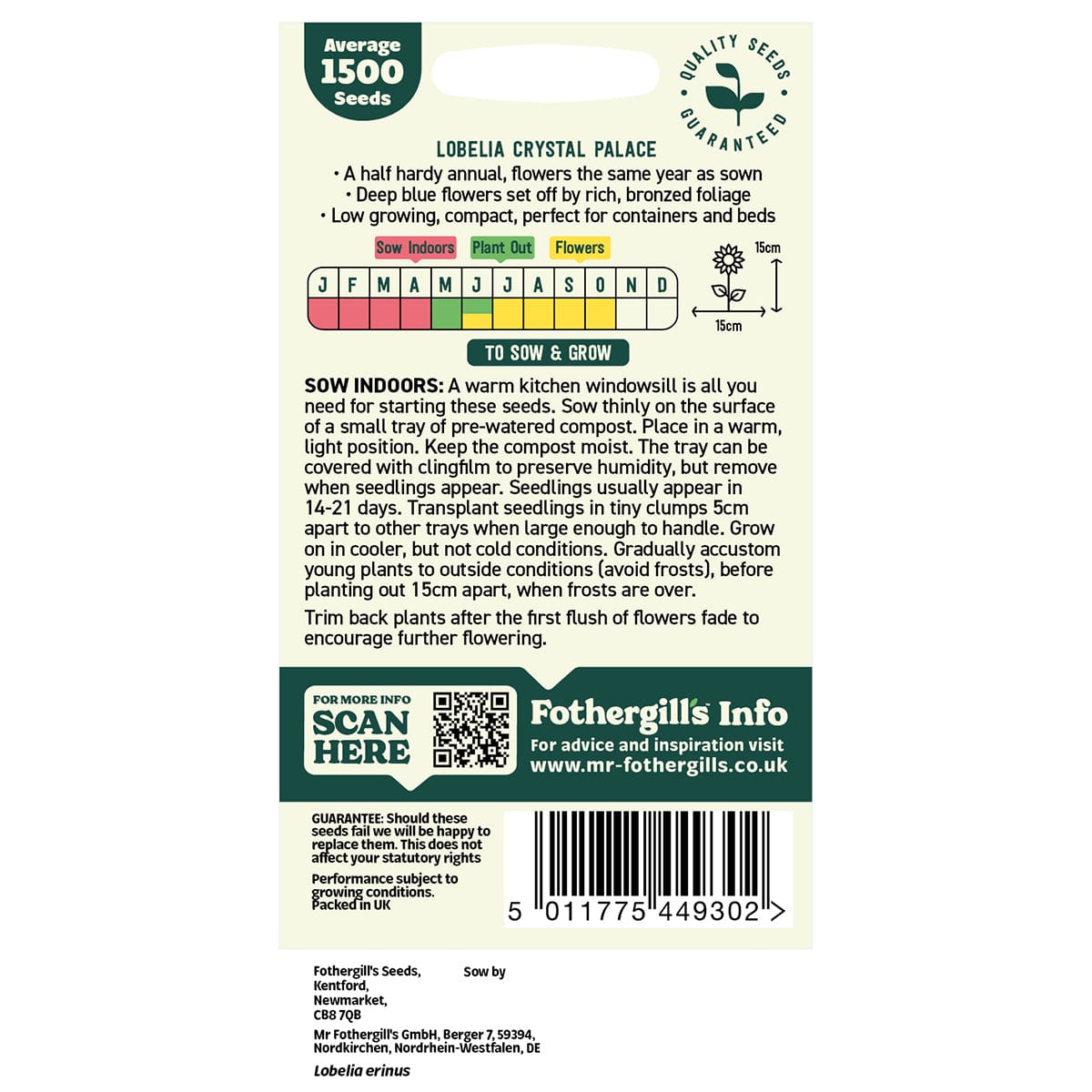 Oh Sow Simple - LOBELIA Blue Seeds