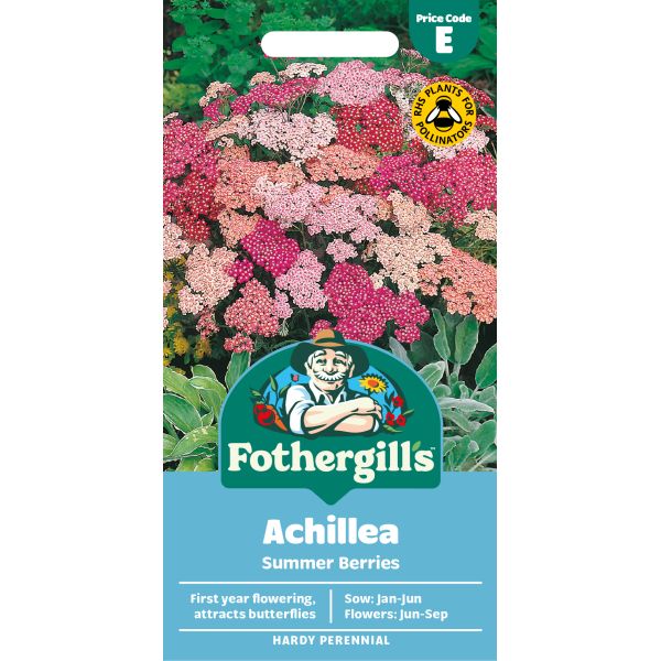 Fothergills Achillea Summer Berries plant packet with colorful flowers on a white background