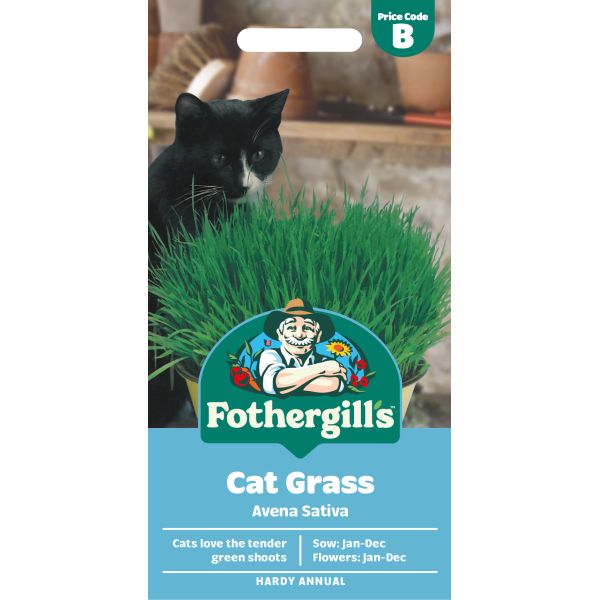 Fothergills cat grass package with a black cat in the background