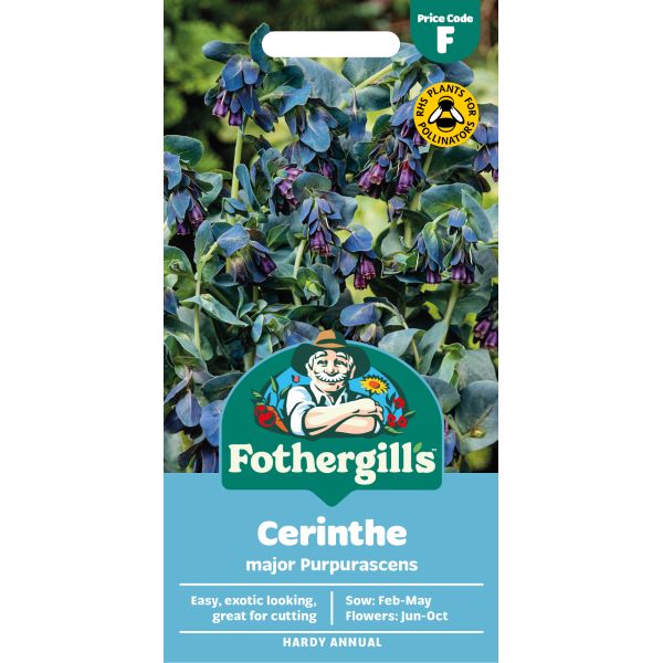 Fothergills Cerinthe major Purpurascens plant packet with branding and product details.