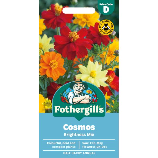 Cosmos Brightness Mixed Seeds
