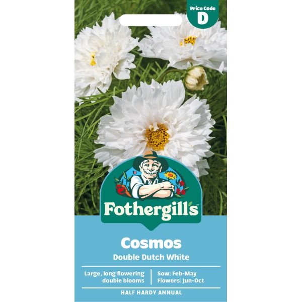 Cosmos Double Dutch White