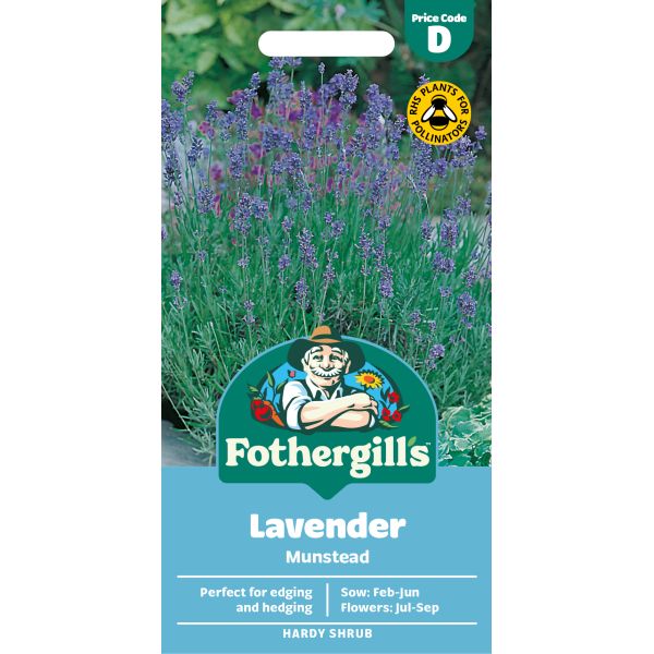 Lavender Munstead Strain Seeds