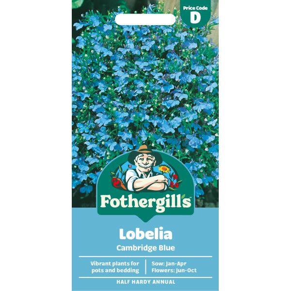 Fothergills Lobelia Cambridge Blue seed packet with blue flowers in the background